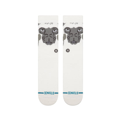 TAUNTAUN CREW | Stance