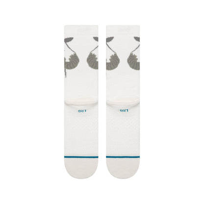TAUNTAUN CREW | Stance