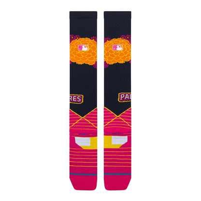 SD TS OTC 26 | Stance